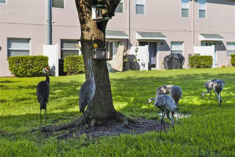 A home in ORLANDO