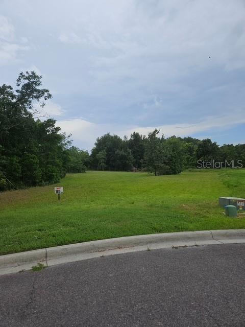 26116 ESTATES RIDGE DRIVE