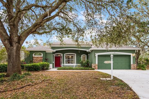 A home in PLANT CITY