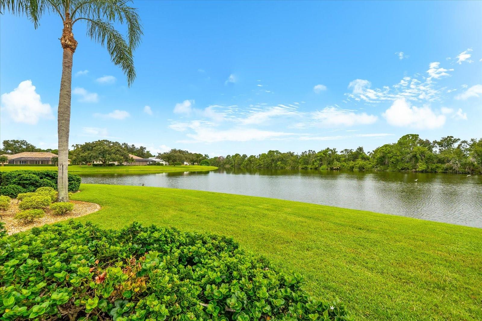MISTY CREEK - Residential