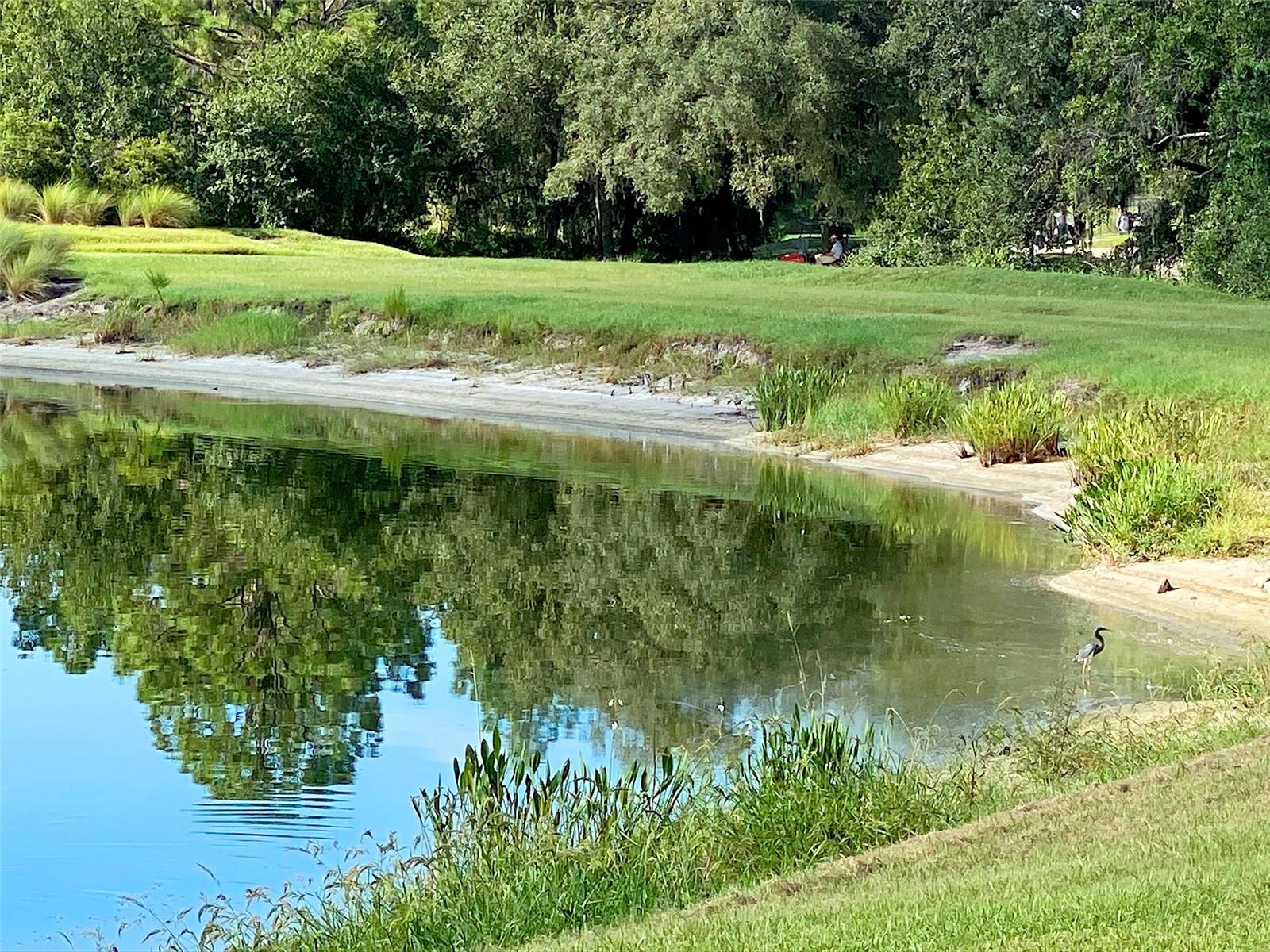 LAKEWOOD NATIONAL - Residential Lease