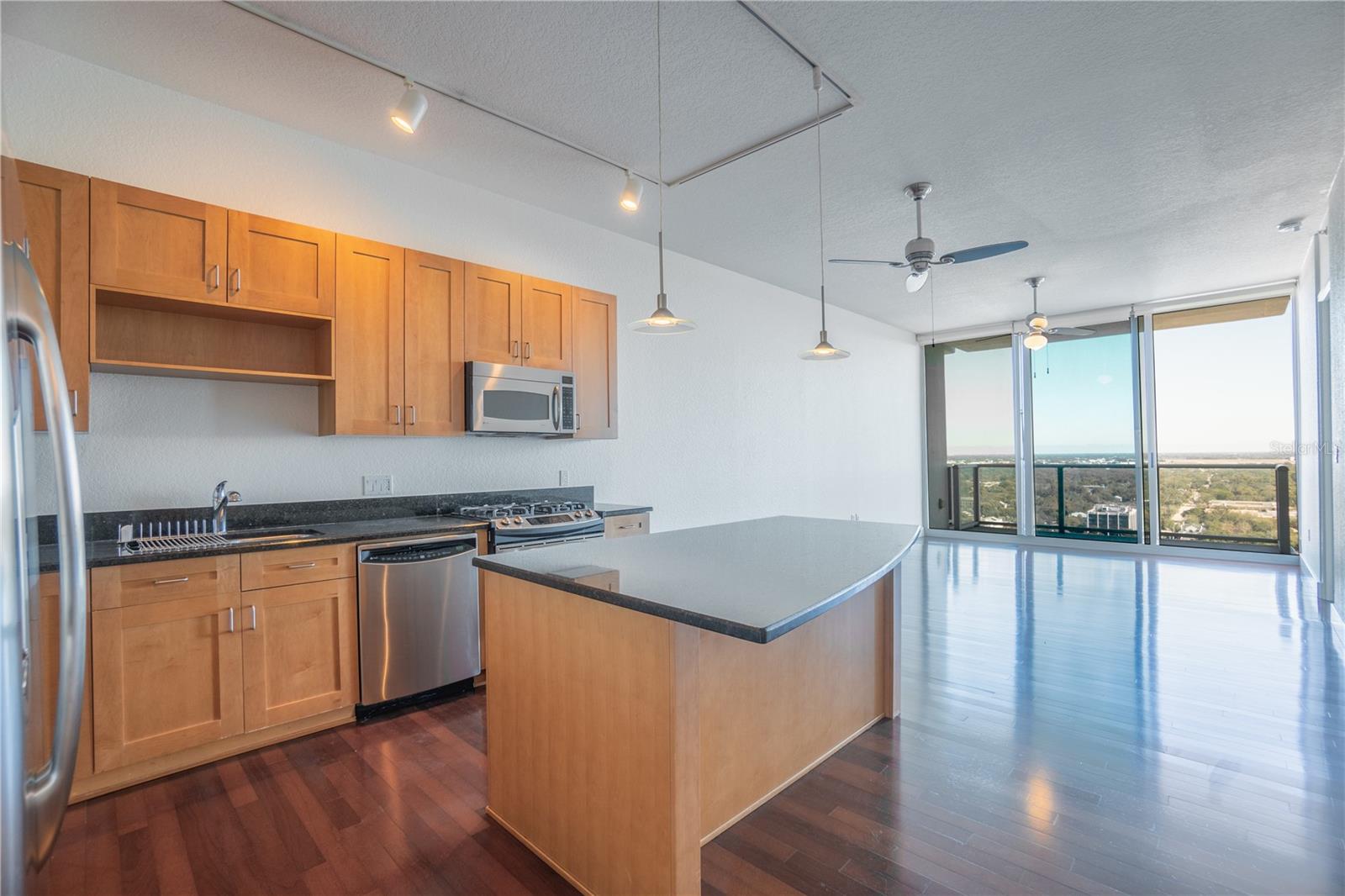 150 E ROBINSON STREET 2203
