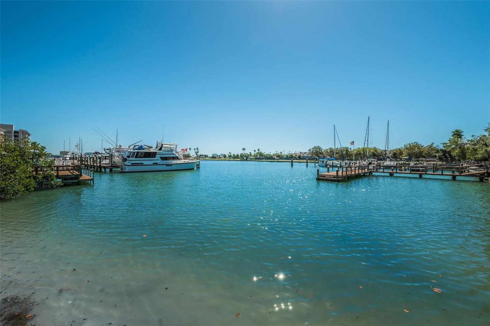 10365 PARADISE BOULEVARD 16