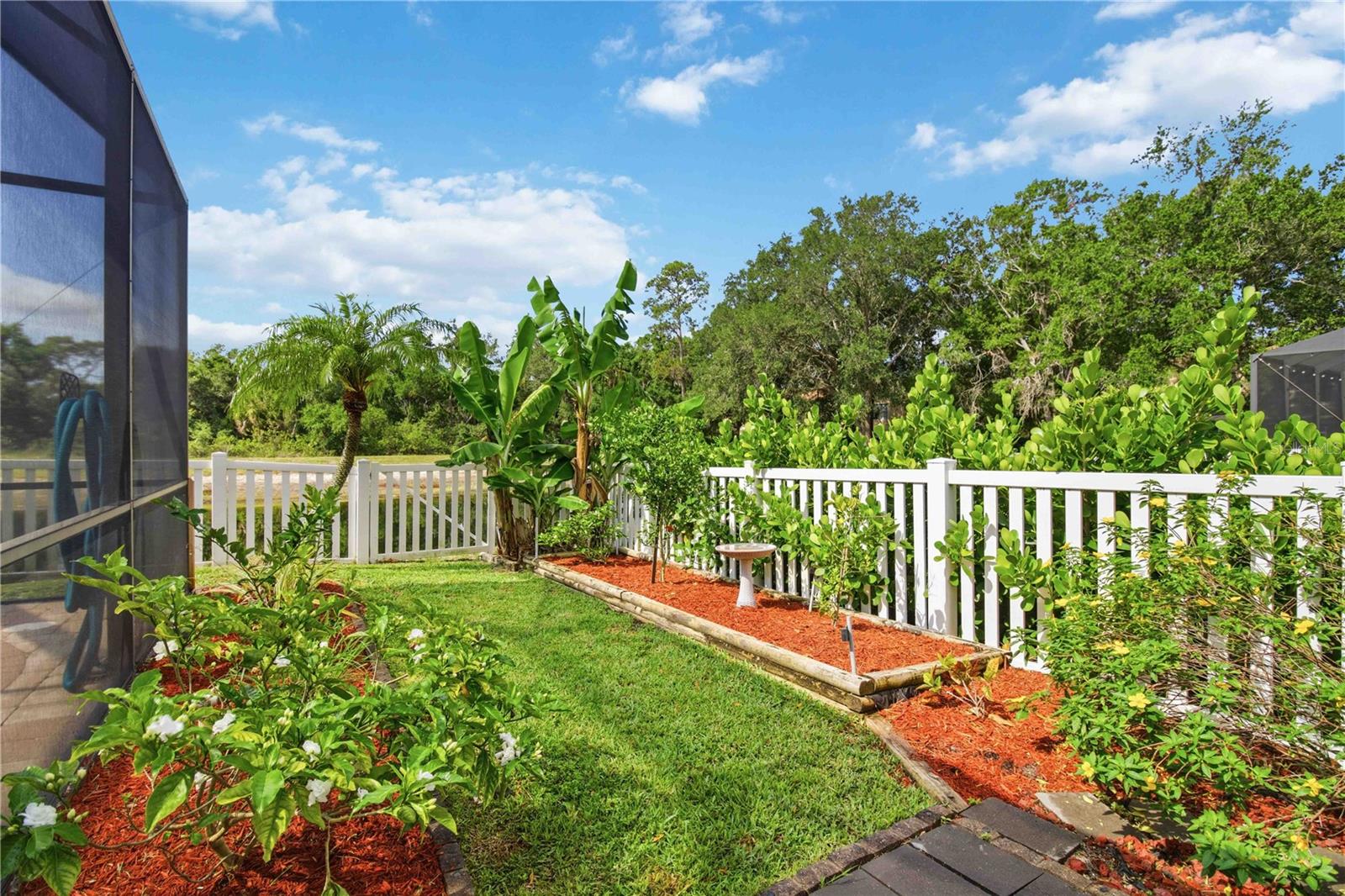 SUMMERFIELD VILLAGE CYPRESS BANKS - Residential