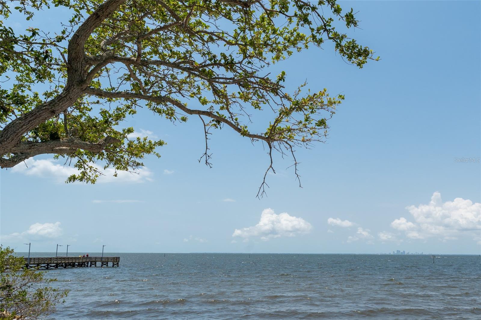 ISLAND RESORT AT MARINERS CLUB - Residential