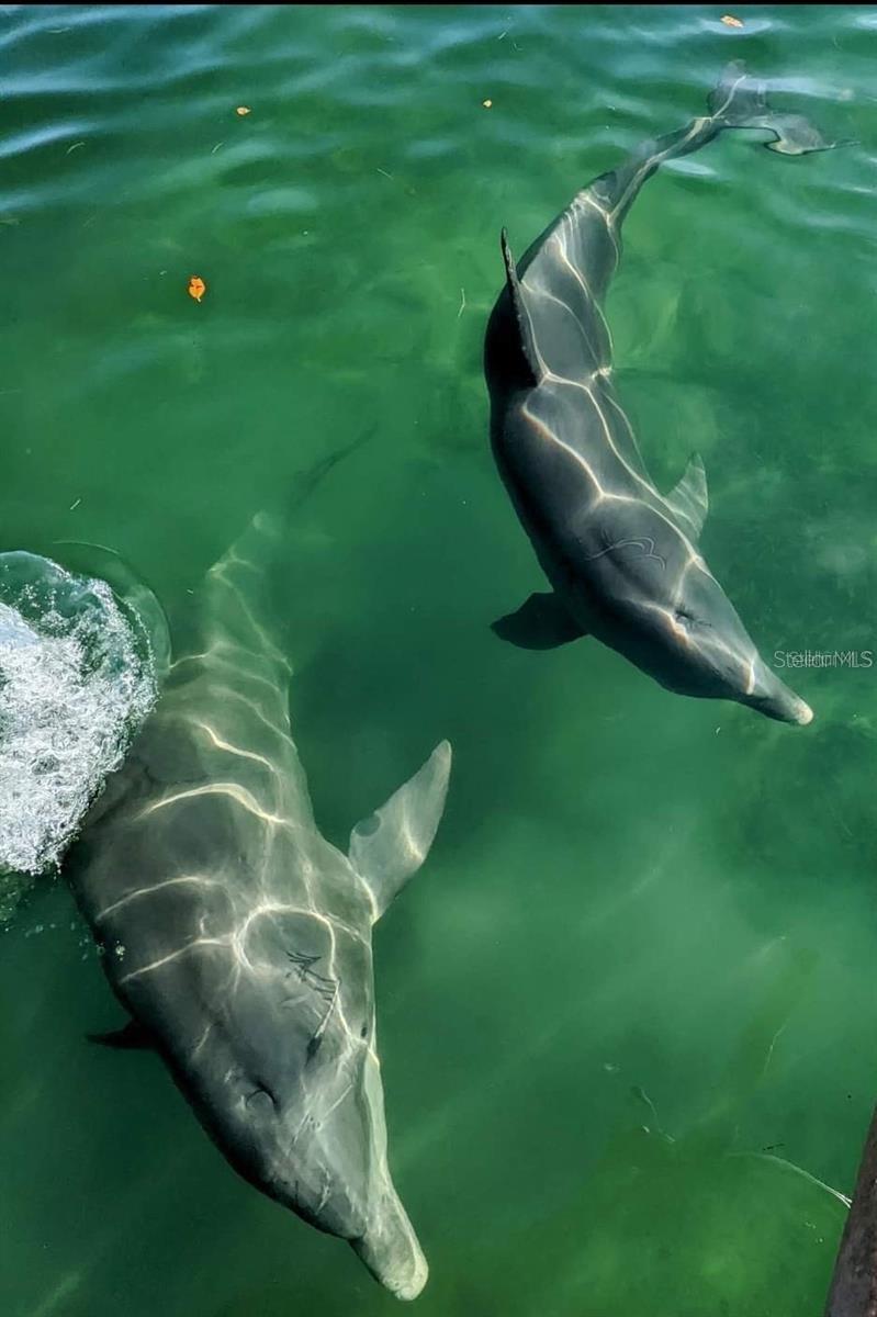 EL JOBEAN WARD 01 PLAN 02 - Residential