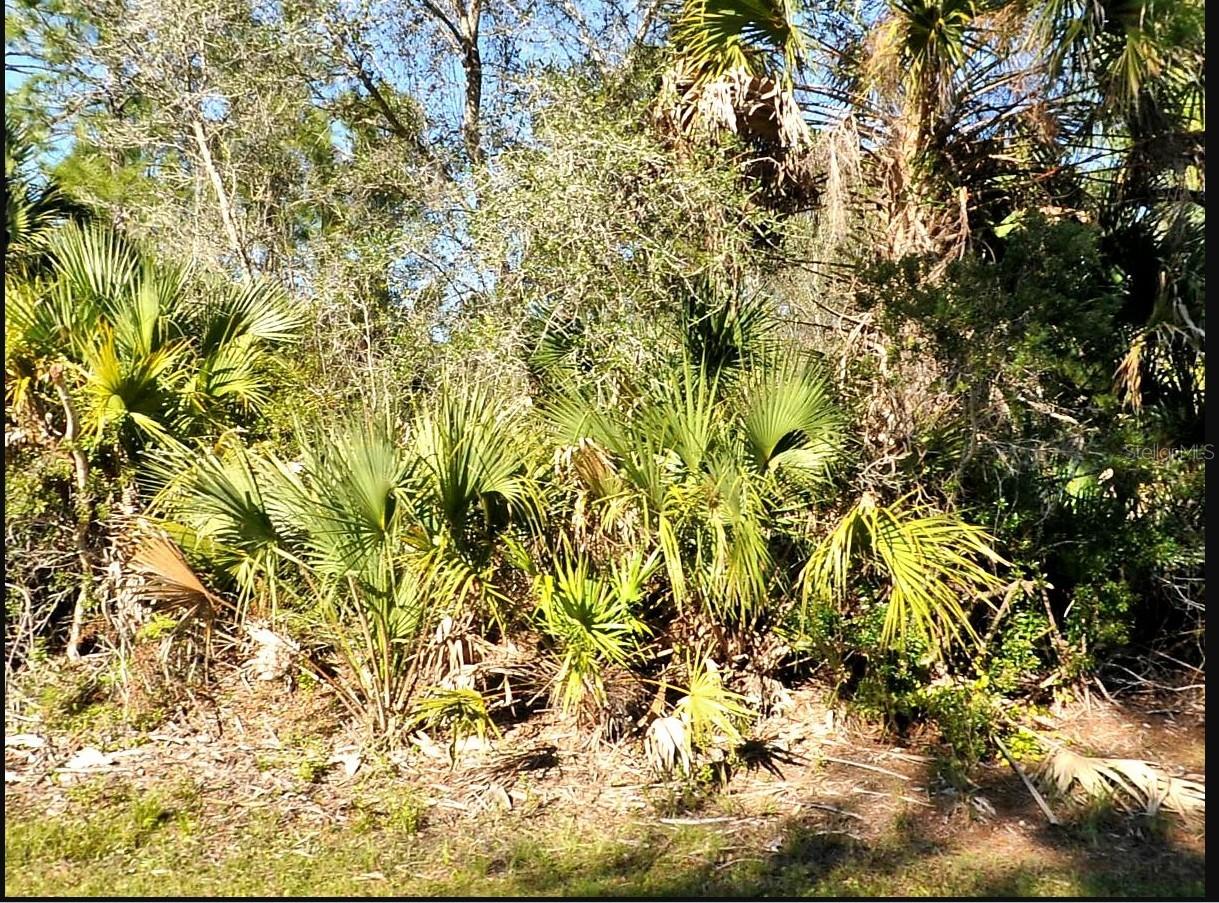 This corner lot is situated in a stunning, up-and-coming neighborhood! Enjoy the perfect balance—far enough from the highway to avoid traffic noise, yet conveniently accessible. Plus, it's not in a flood zone! Secure your own slice of sunny Florida and build the home of your dreams. Don't miss this opportunity to start living the life you’ve envisioned!