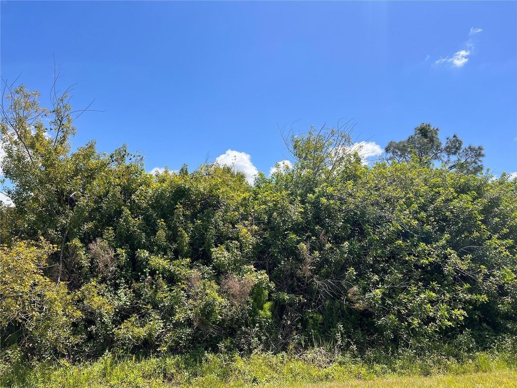 Photo of Blueleaf Drive, North Port, FL 34288 (MLS # A4661582)