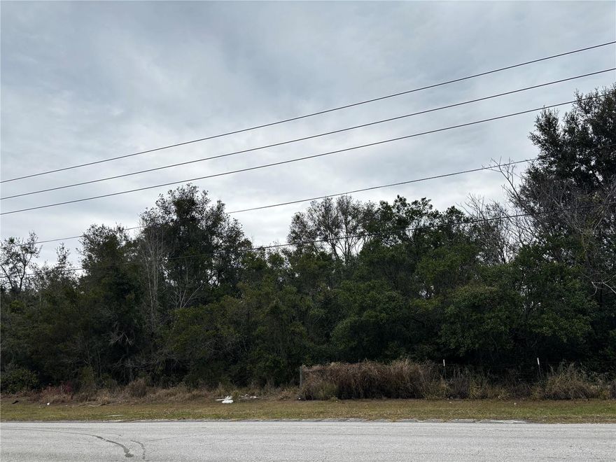 Near 10 acres land, high and dry. Great location to build new community, easy access to major highway, just 3 mints to new Publix Shopping center.  Don’t miss the great opportunity.