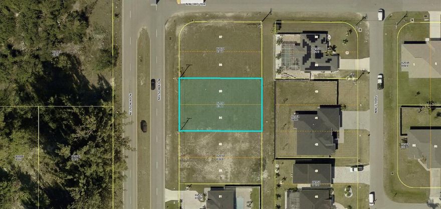 Seize the chance to claim your very own slice of paradise in the heart of stunning Cape Coral, with city water and sewer. This exceptional lot is perfectly positioned just across the street from a picturesque pond, where you can soak in breathtaking sunsets that will make your Instagram followers green with envy. But wait, there’s more! You’ll find yourself mere moments away from a delightful array of restaurants, shopping hotspots, and family-friendly activities that will keep everyone entertained. And let’s not forget, you’re just a stone’s throw from the Pine Island corridor, providing you with quick access to I-75 for those spontaneous weekend getaways. Don’t let this fabulous opportunity slip through your fingers—start living the Southwest Florida lifestyle today! Your dream lot awaits!