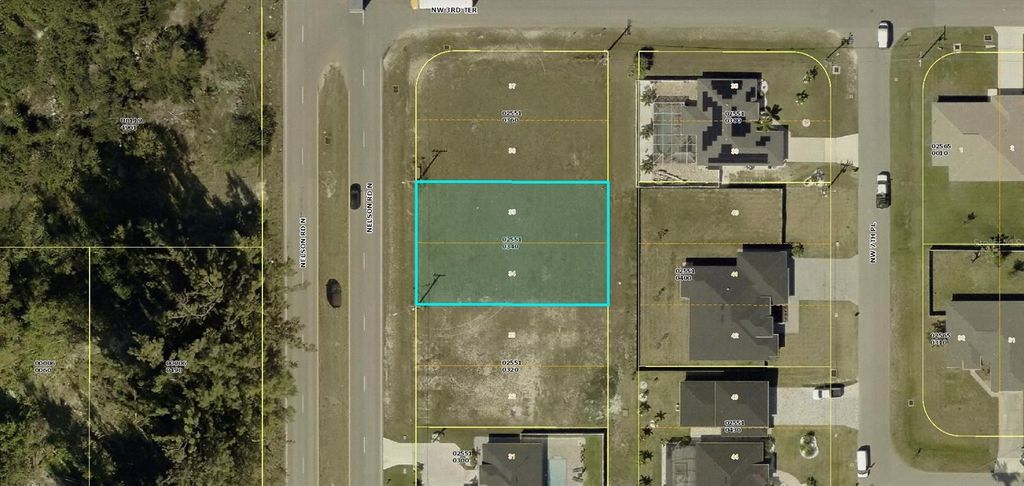 Photo of 307 Nelson Road N, Cape Coral, FL 33993 (MLS # A4660545)