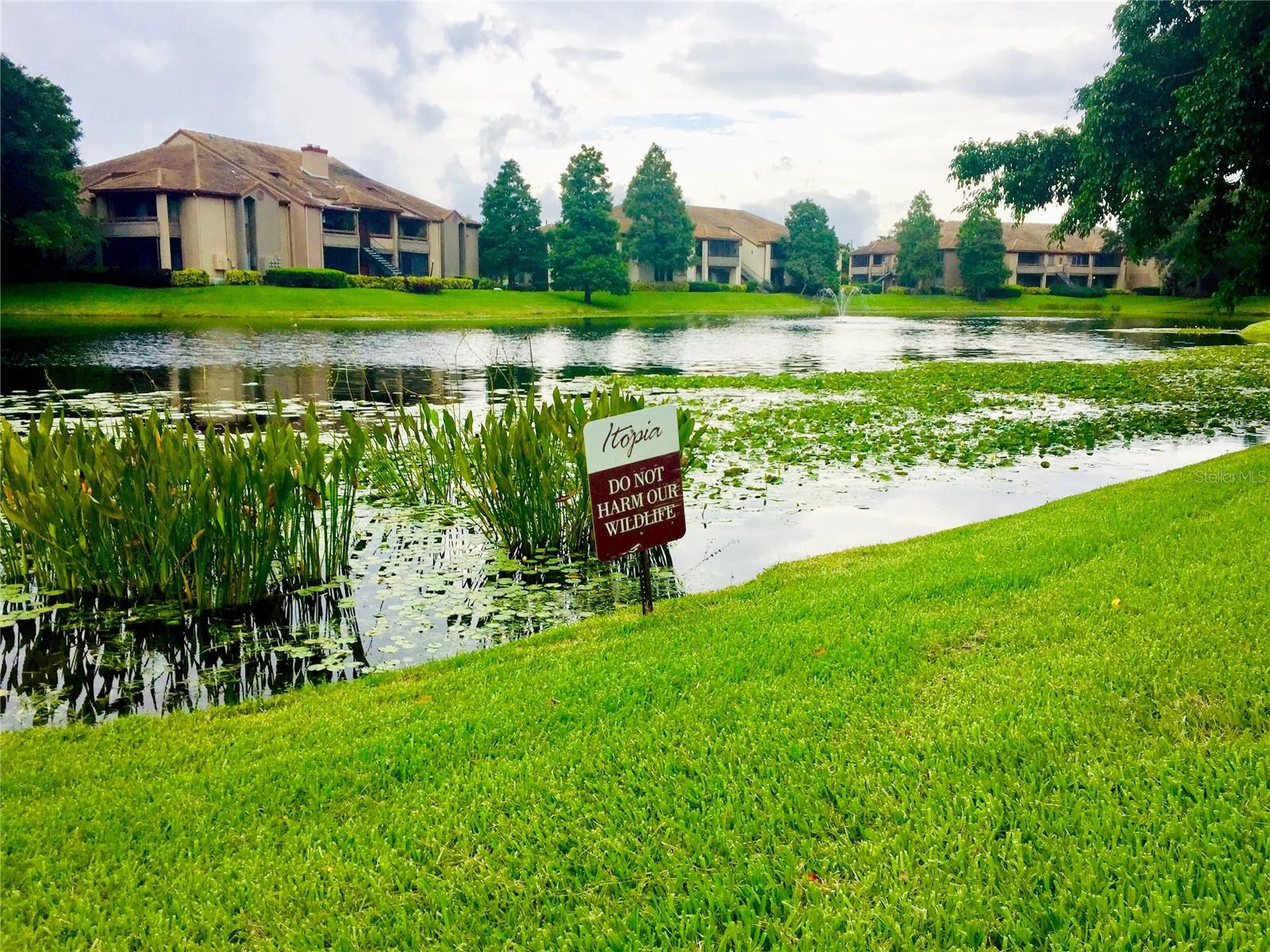 ITOPIA PRIVATE RESIDENCES CONDO - Residential Lease