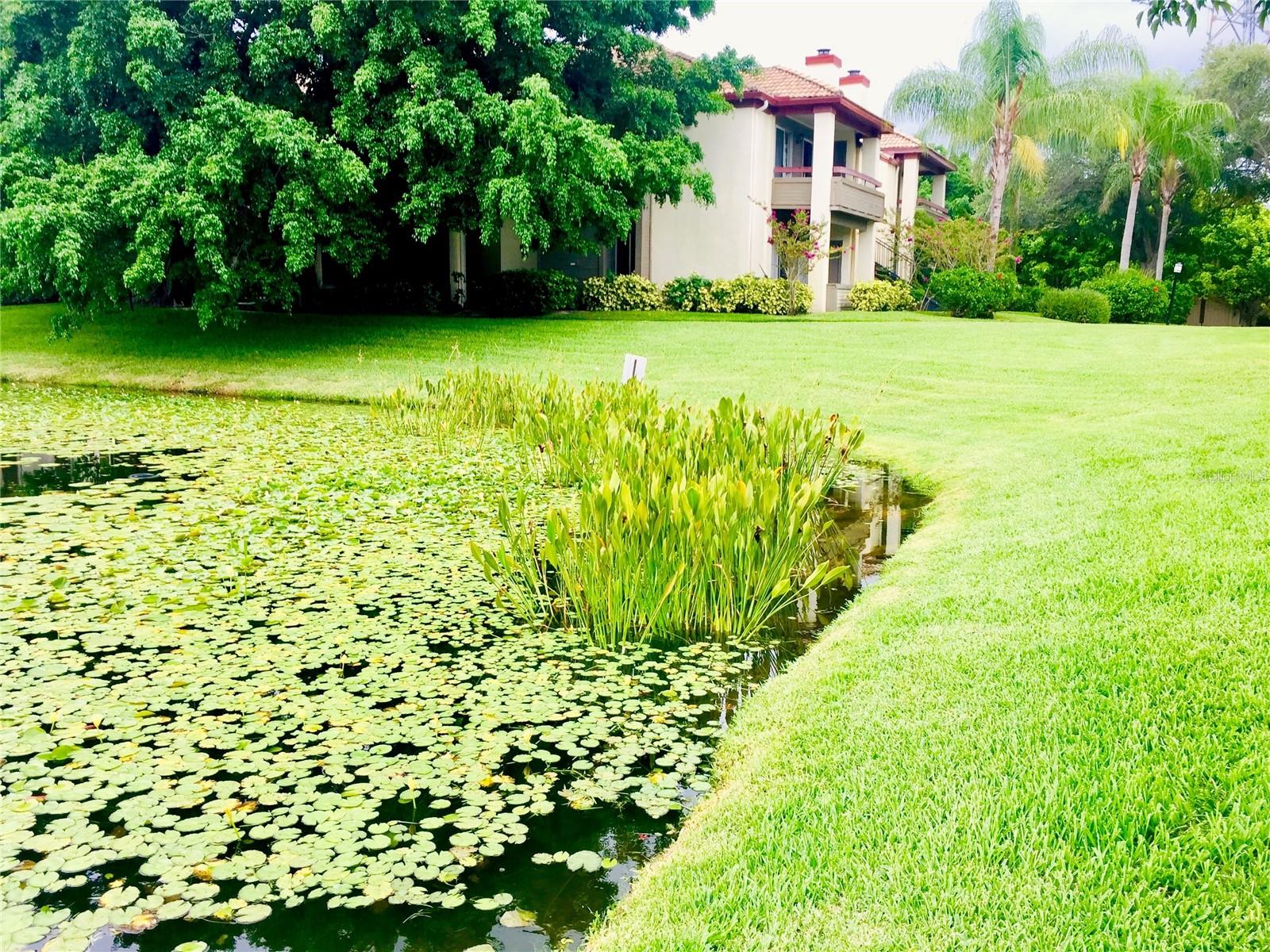 ITOPIA PRIVATE RESIDENCES CONDO - Residential Lease