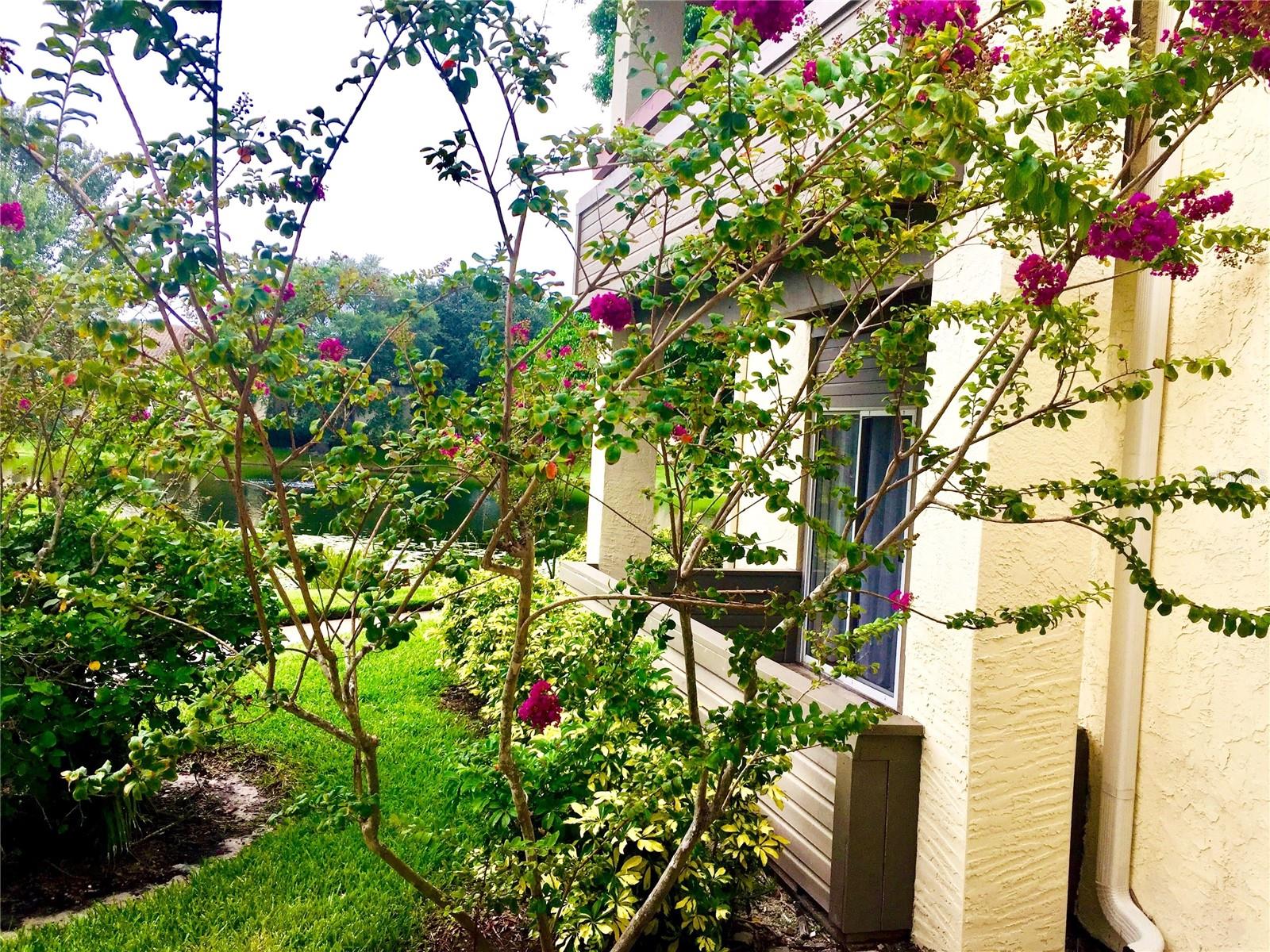 ITOPIA PRIVATE RESIDENCES CONDO - Residential Lease