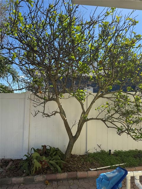 A home in TREASURE ISLAND