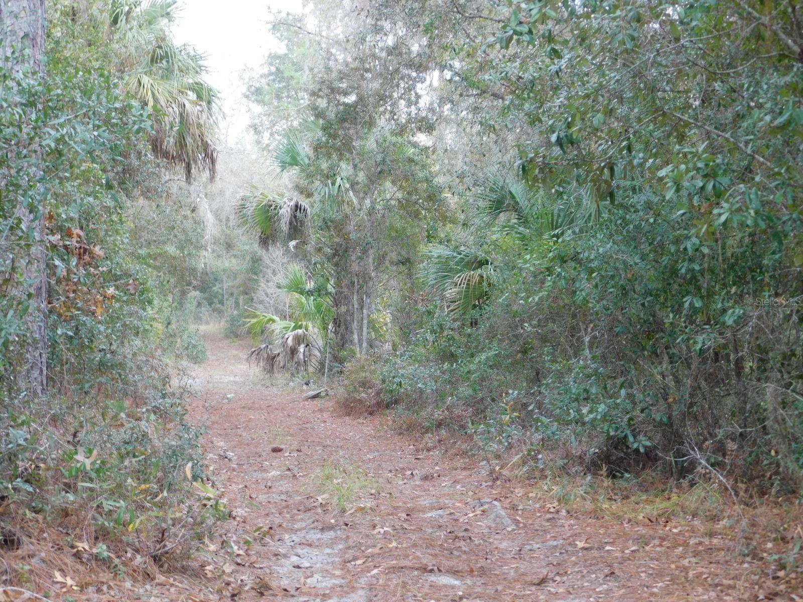 FOX GROVE FARMS - Land