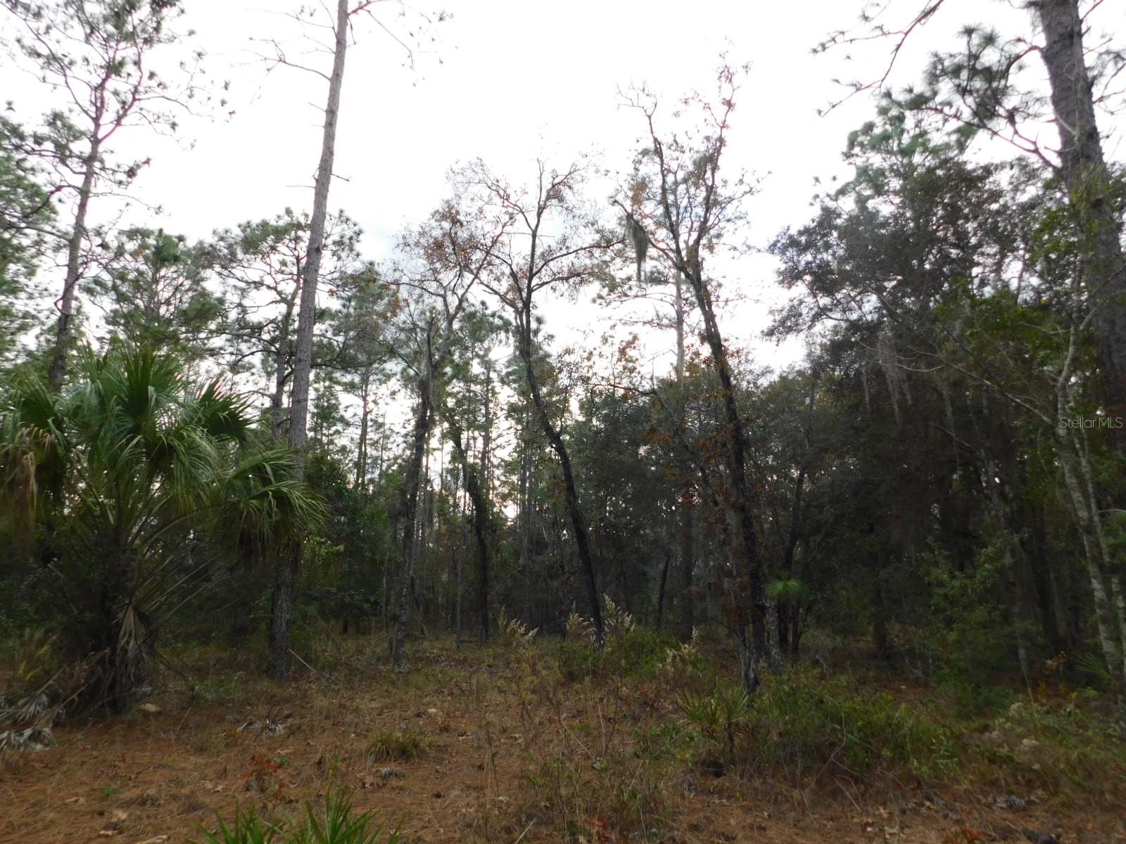 FOX GROVE FARMS - Land