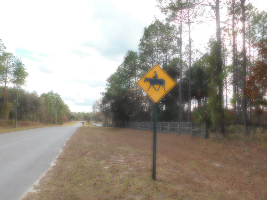 Photo of SE 120 Court, Morriston, FL 32668 (MLS # OM715309)