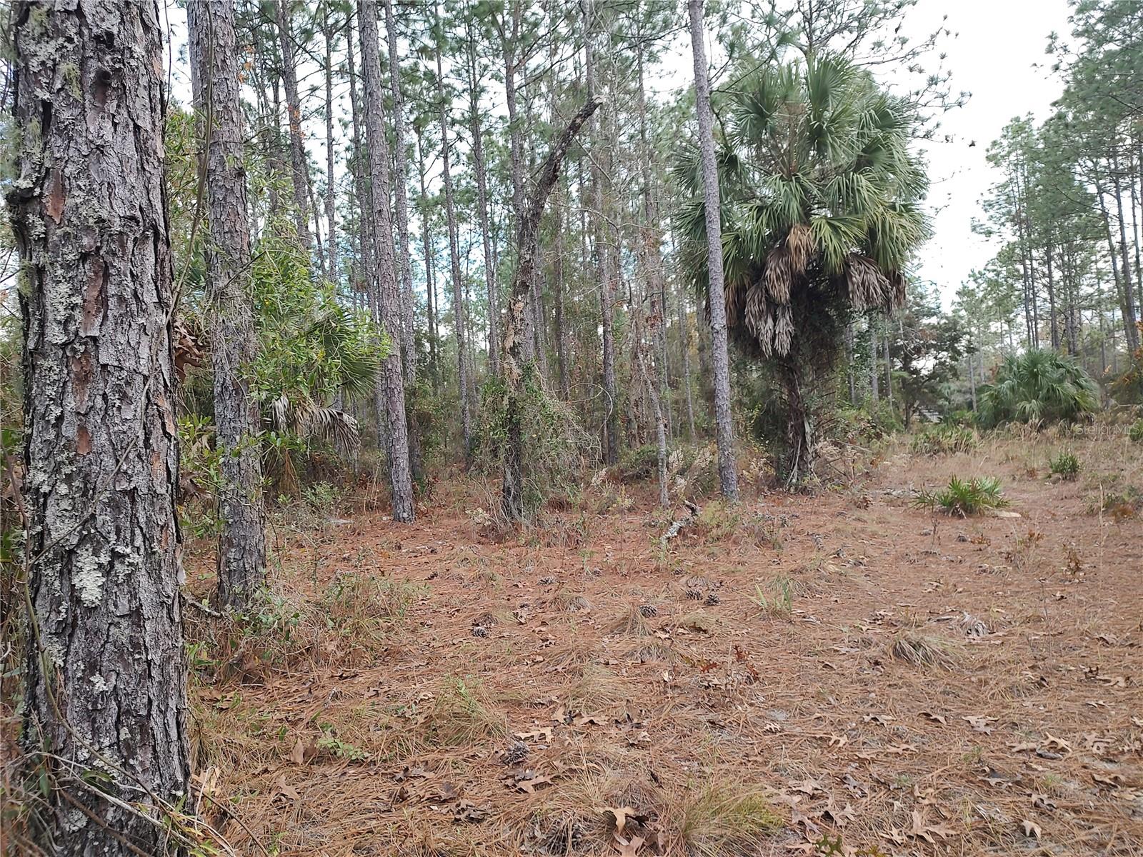 FOX GROVE FARMS - Land