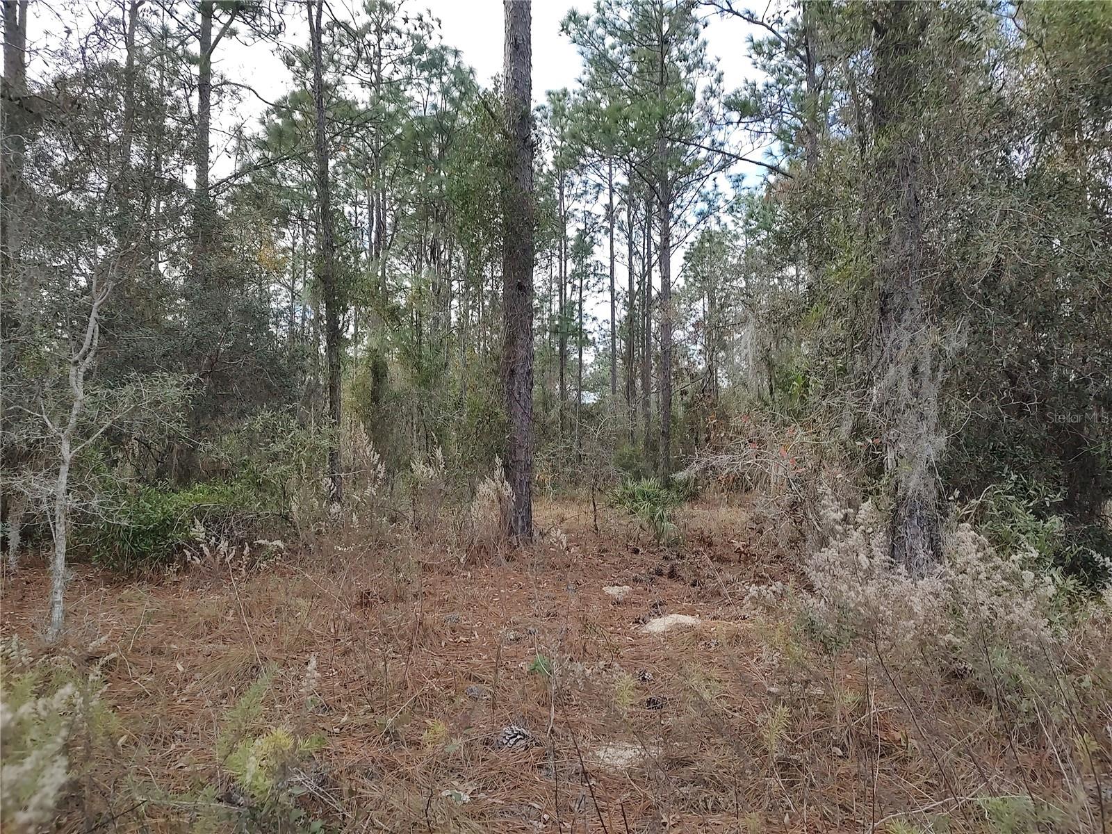 FOX GROVE FARMS - Land