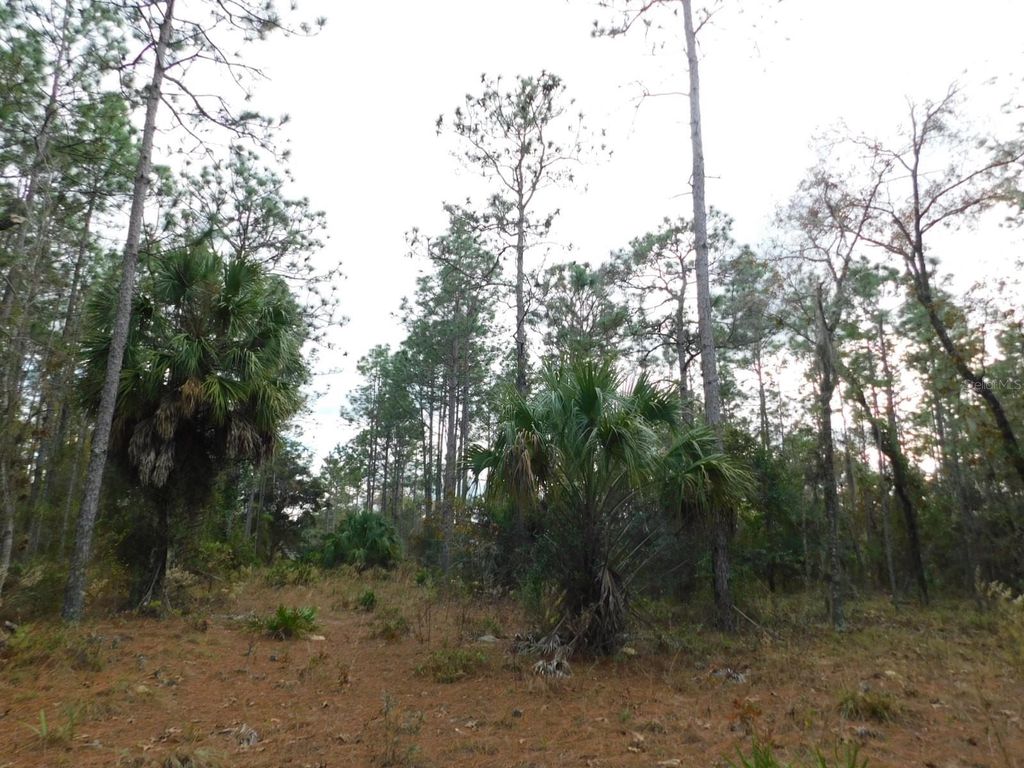Photo of SE 120 Court, Morriston, FL 32668 (MLS # OM715309)