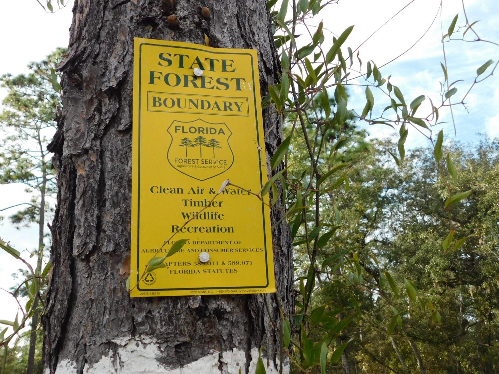 FOX GROVE FARMS - Land