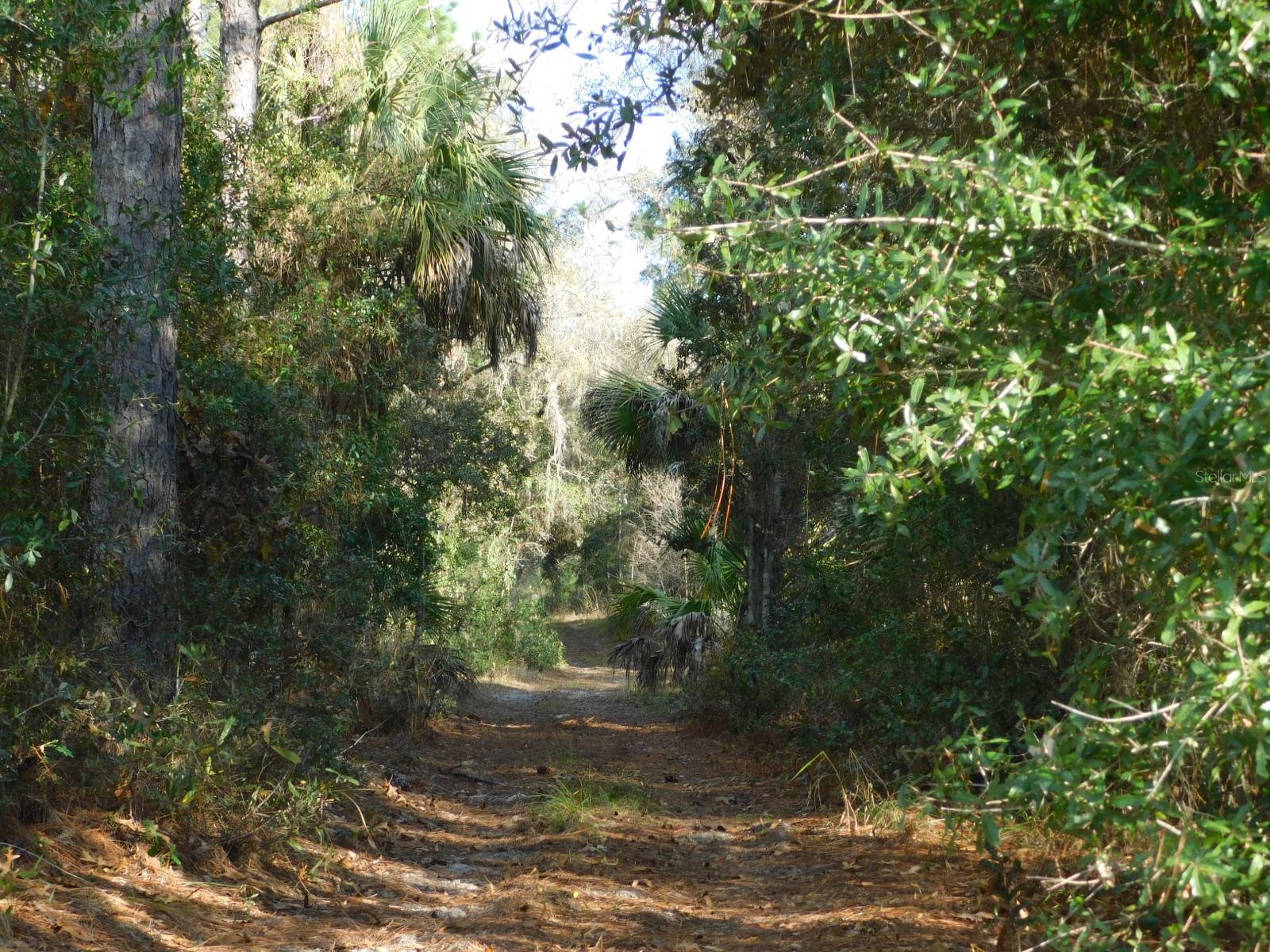 FOX GROVE FARMS - Land