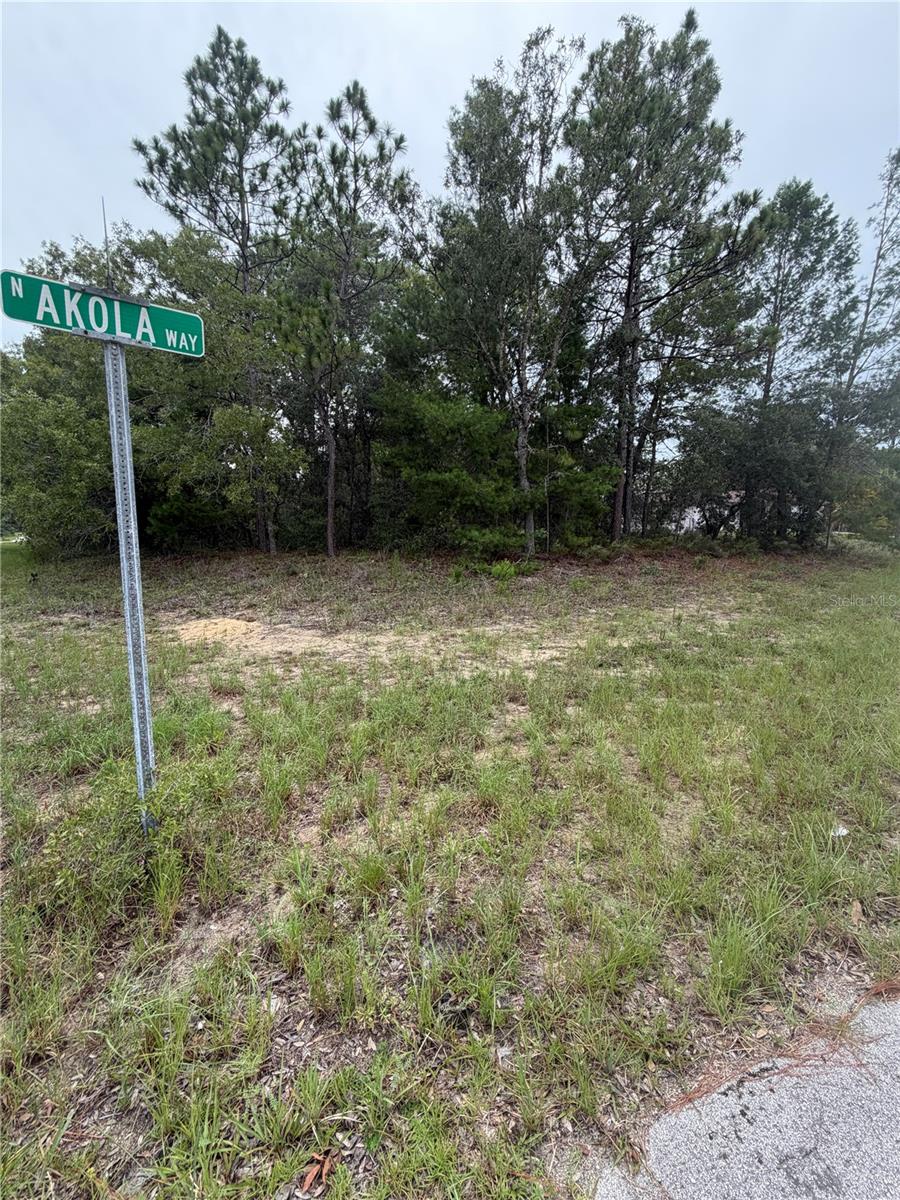 9512 N AKOLA WAY