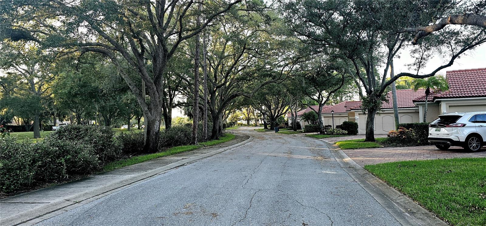 MEADOWS THE - Residential Lease