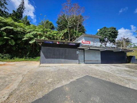 Carr 568 Km 30.3 Int CARR 568 KM 30.3 INT, COROZAL, PR 00783 COROZAL  00783