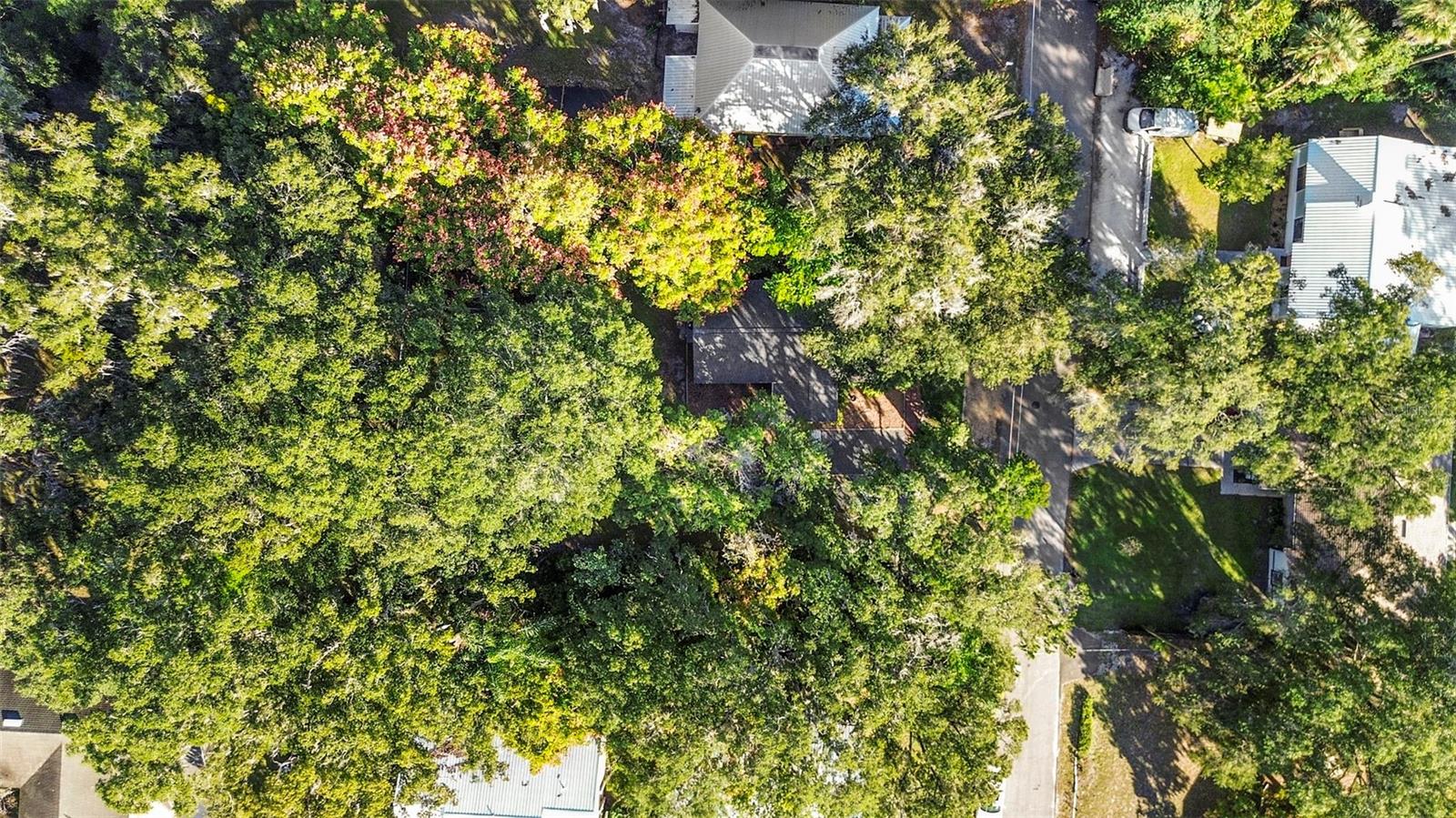 OSTEENS BLK 119 DELAND - Residential