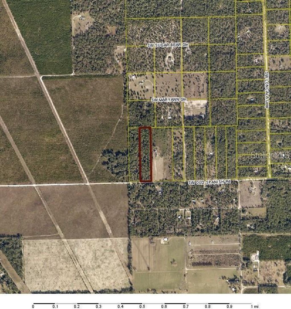 Photo of SW Old Spanish Road, Fort White, FL 32038 (MLS # TB8513407)