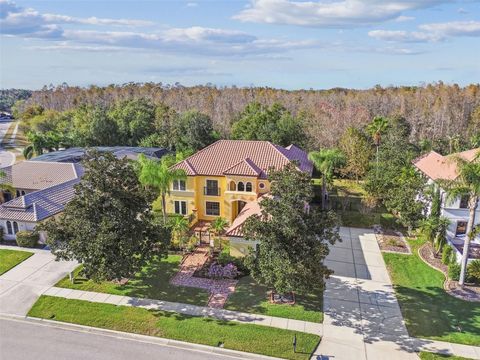 3811 IVYDALE COURT LAND O LAKES FL 34638