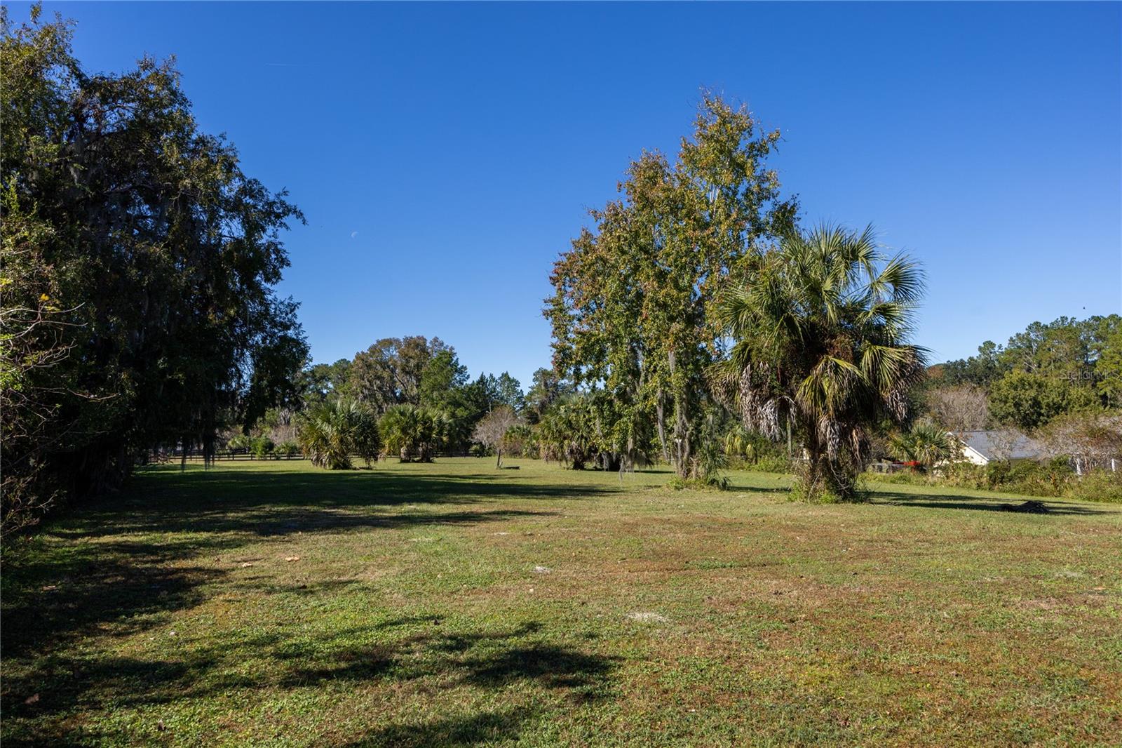 CUT ABOVE - Residential