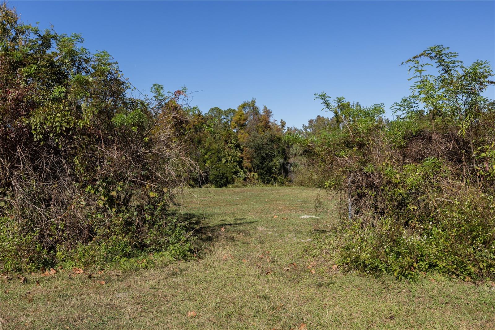 CUT ABOVE - Residential