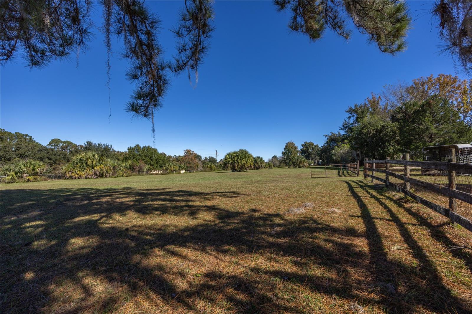 CUT ABOVE - Residential