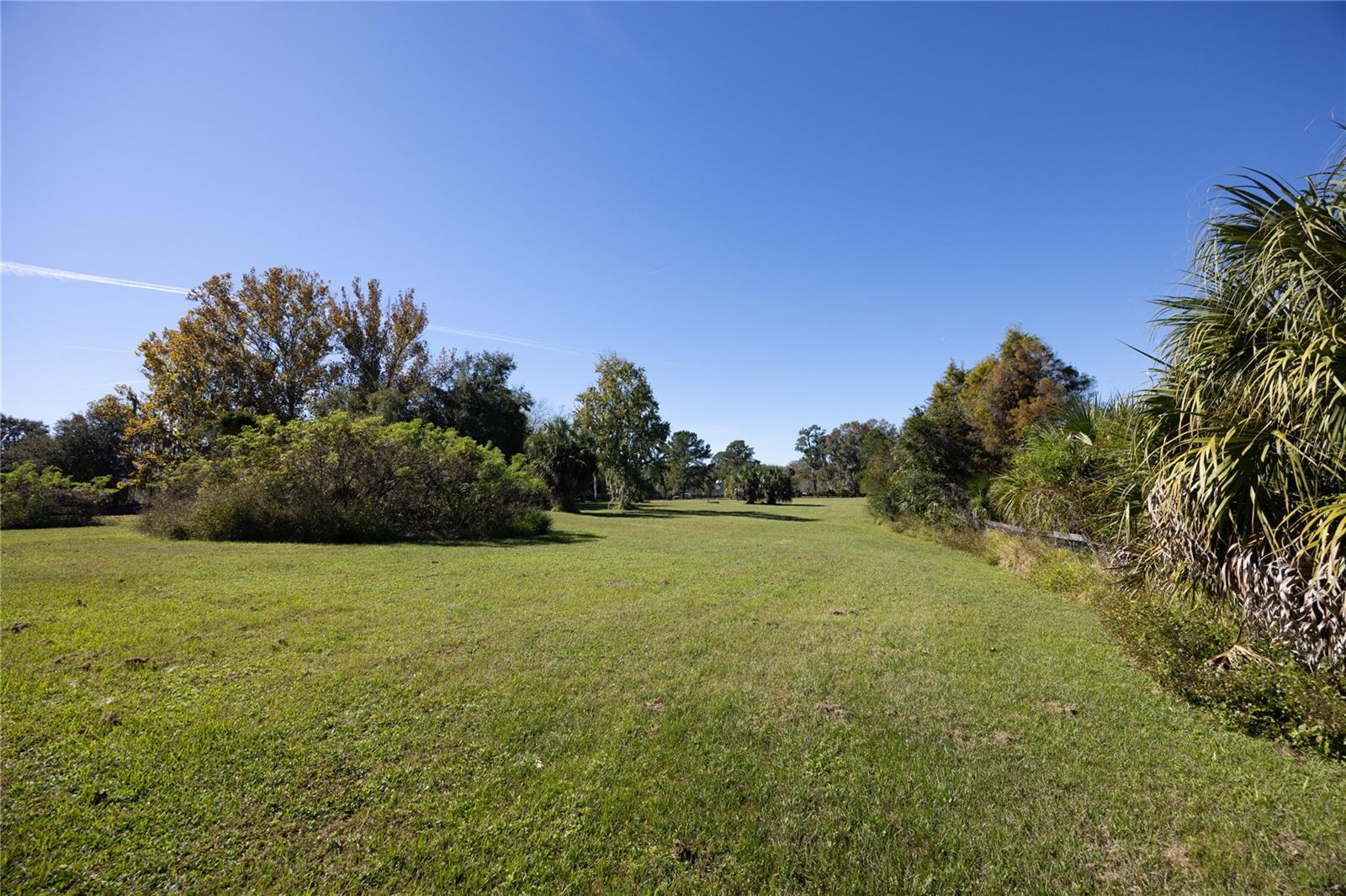 CUT ABOVE - Residential