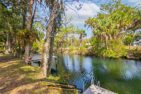 Tiny photo for 2283 S Todd Point, Homosassa, FL 34448 (MLS # OM723433)