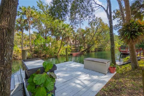 Tiny photo for 2283 S Todd Point, Homosassa, FL 34448 (MLS # OM723433)