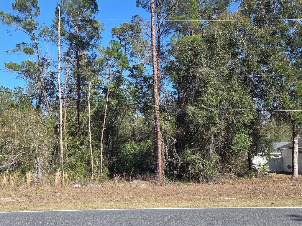 Photo of Bay Road, Ocklawaha, FL 32179 (MLS # OM719904)