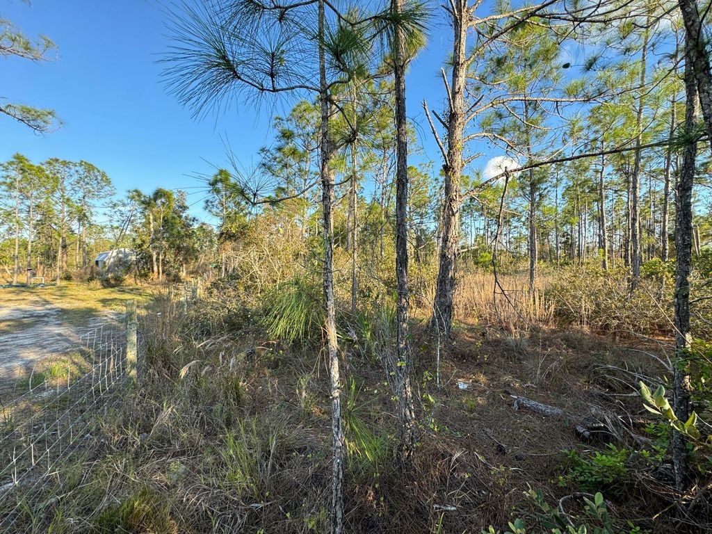 Photo of 8108 Austrian Boulevard, Punta Gorda, FL 33982 (MLS # O6338845)