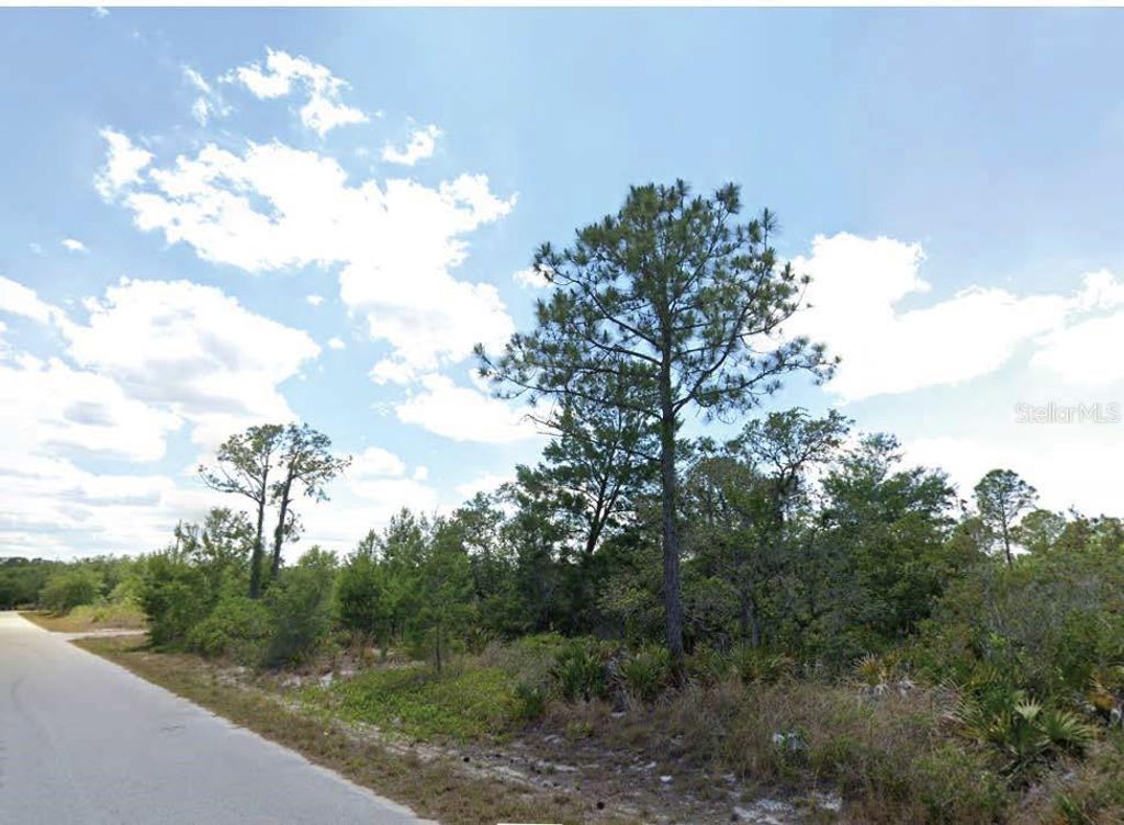 Photo of 908 Imperial Oak Street, Lake Placid, FL 33852 (MLS # O6293640)