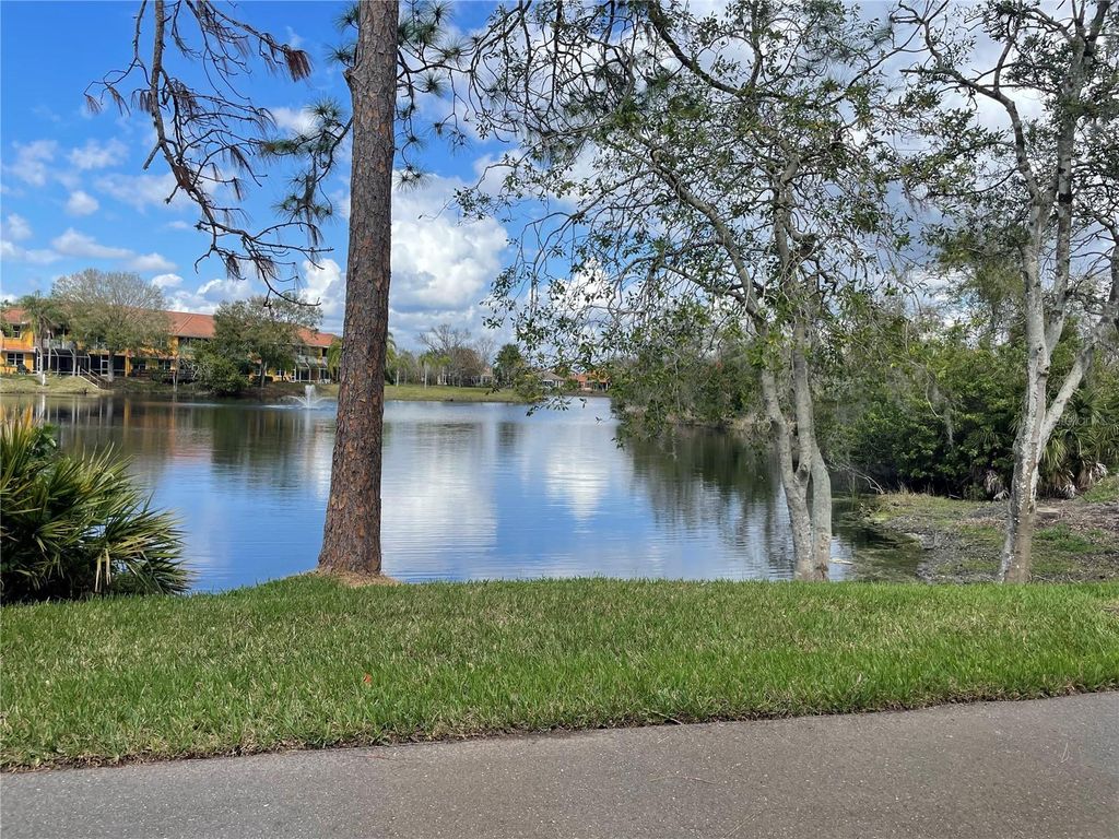 Photo of 21229 Calle Rosa Drive, Land O Lakes, FL 34637 (MLS # TB8348775)