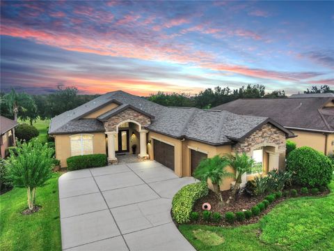Photo of 13342 Trailing Moss Drive, Dade City, FL 33525 (MLS # TB8418126)
