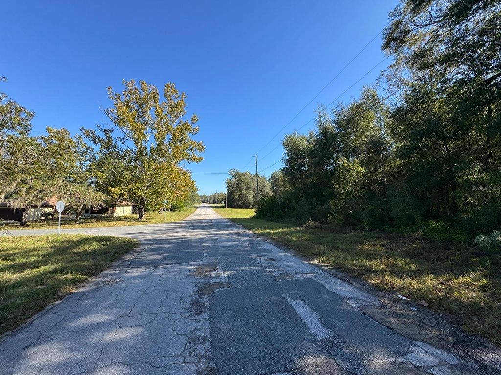 Photo of 10241 N Halsey Way, Dunnellon, FL 34434 (MLS # O6386422)