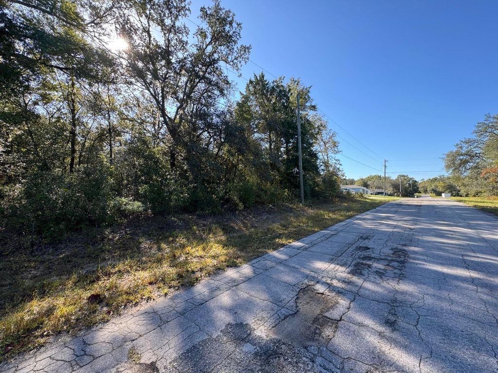 Photo of 10241 N Halsey Way, Dunnellon, FL 34434 (MLS # O6386422)