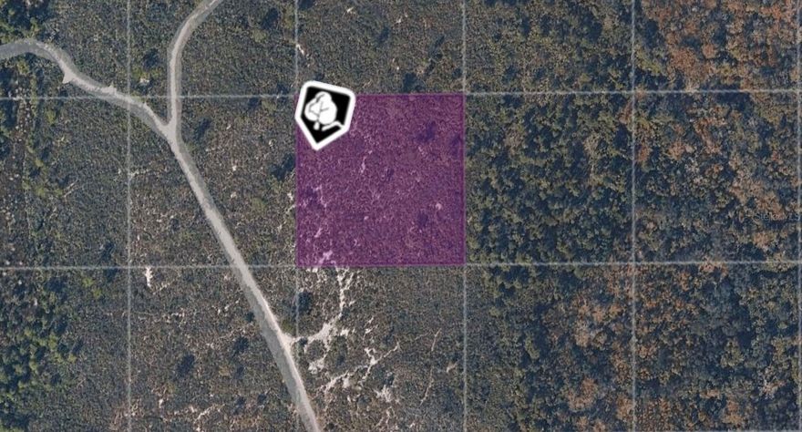 2.5-acre parcel located in Cape Atlantic Estates, Oak Hill. Zoned A-1 Prime Agriculture, this property allows for residential or agricultural use, making it a versatile option for buyers seeking space and privacy. Verify access and easements through Volusia County. No flood zone (code x). Coordinates 28.80255390, -80.89131865 can be entered into GPS for exact location. Great opportunity for off-grid living or long-term investment.