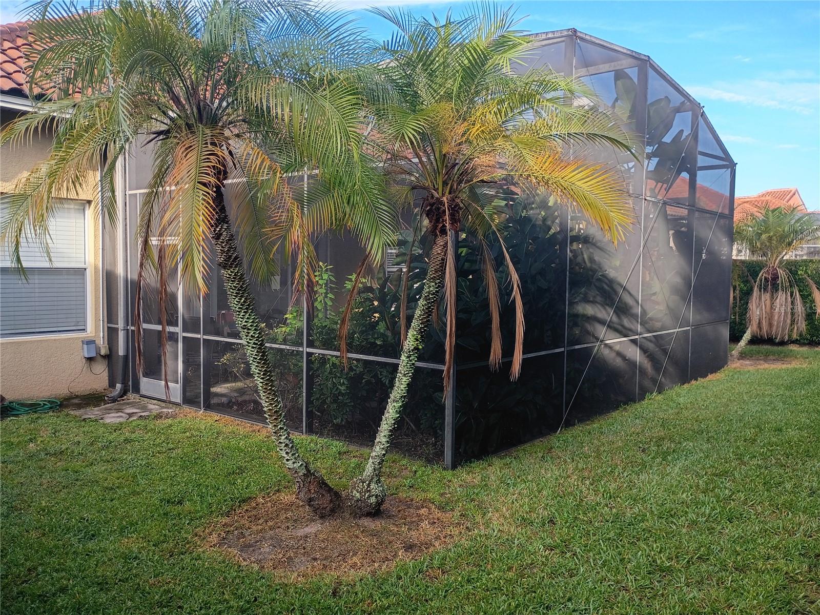 WHITNEY ISLES/BELMERE PH 02 - Residential Lease