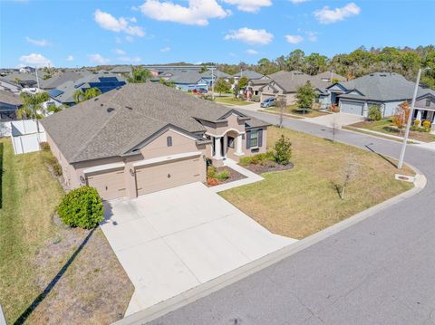 3920 TEABERRY LANE SUN CITY CENTER FL 33573