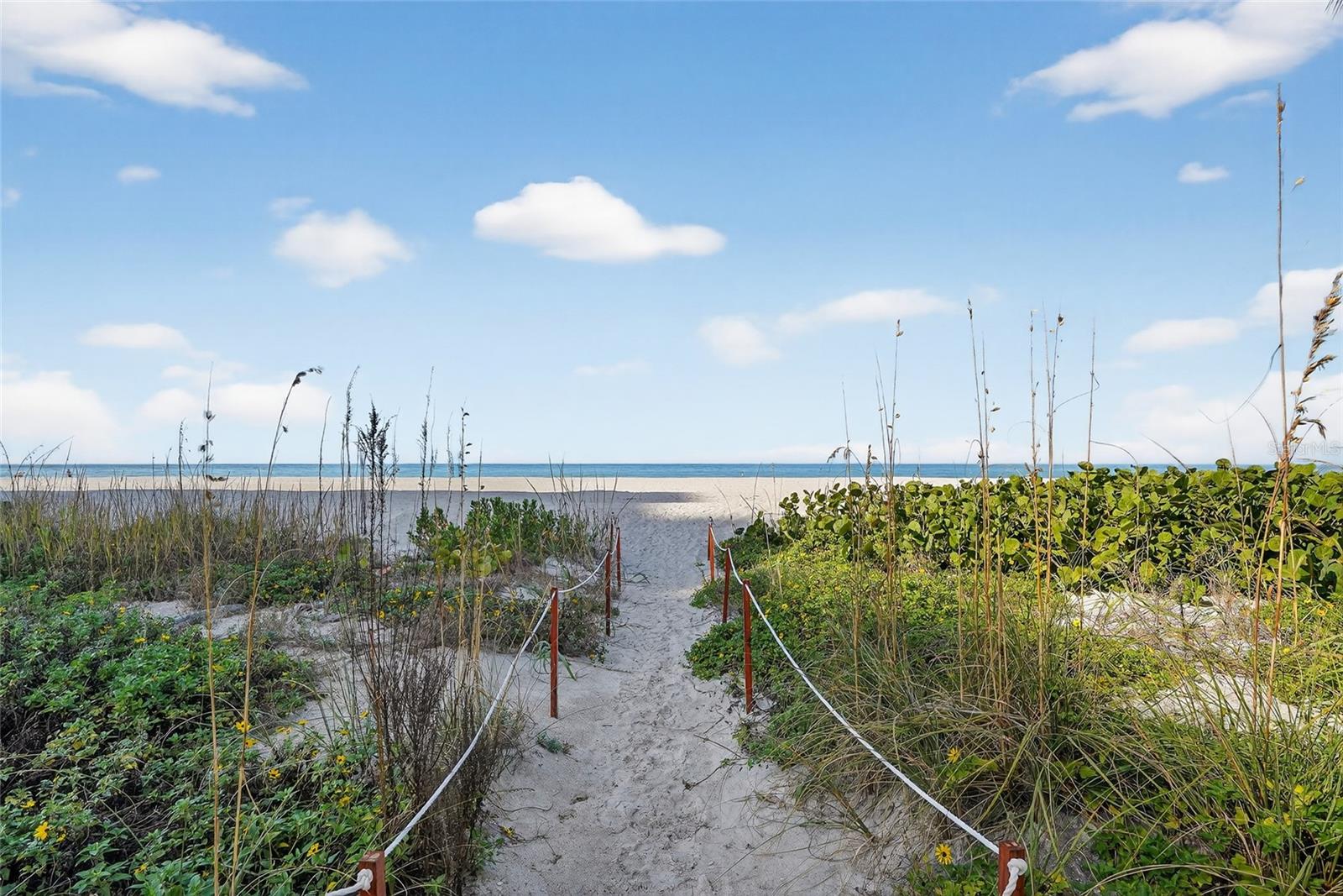 SAND KEY CONDO-SOUTH BEACH - Residential